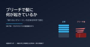 正常な髪とブリーチ後の髪のキューティクル断面を比較した模式図。ブリーチ後はスケールが浮き・剥離し、コルテックスが露出している。